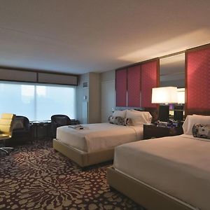 Executive King Suite